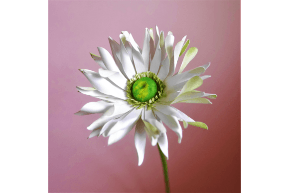 Evaluating the Pastrini Gerbera: A Practical Guide to Paper Floral Design